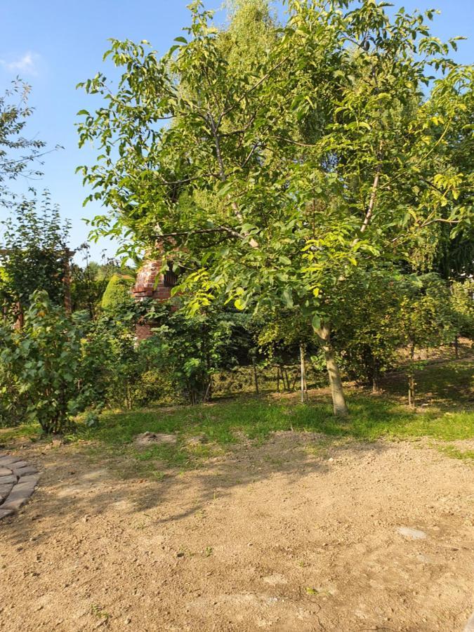 Apartamenty Straconka ,Bielsko-Biała Dış mekan fotoğraf